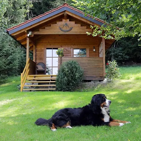 Moosmuehle-allgaeu Appartement *